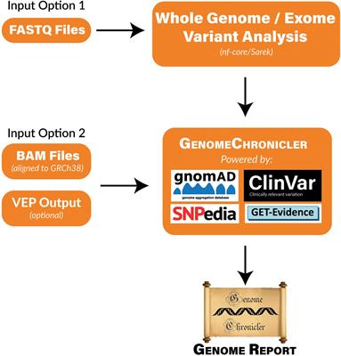 GenomeChronicler: The Personal Genome Project UK Genomic Report Generator Pipeline